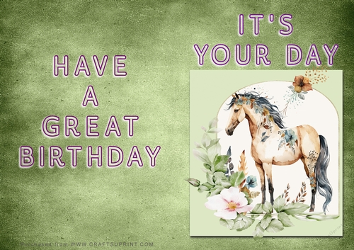 NCJP - Its Your Day - Horse in Frame
