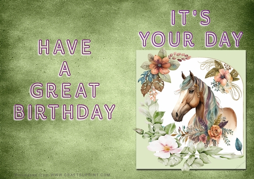 NCJP - Its Your Day - Horse in Frame