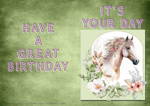 NCJP - Its Your Day - Horse in Frame