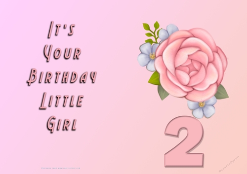 NCJP - Its Your Birthday Little Girl - 2 - Pink Rose