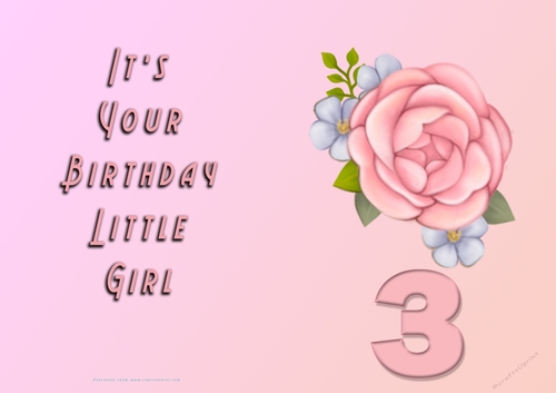 NCJP - Its Your Birthday Little Girl - 3 - Pink Rose