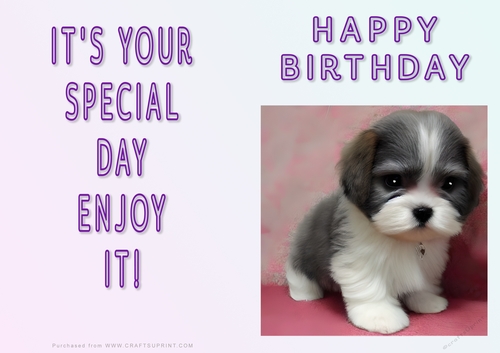 NCJP - Fantasy Lhasa Apso and Puppys