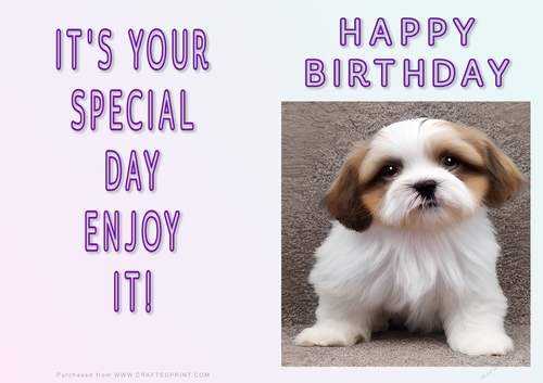 NCJP - Fantasy Lhasa Apso and Puppys