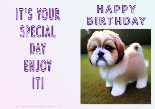 NCJP - Fantasy Lhasa Apso and Puppys