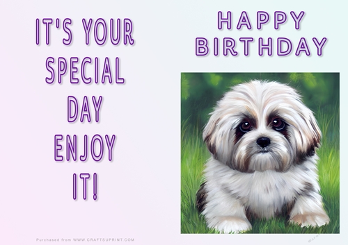 NCJP - Fantasy Lhasa Apso and Puppys