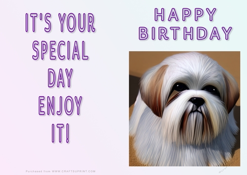 NCJP - Fantasy Lhasa Apso