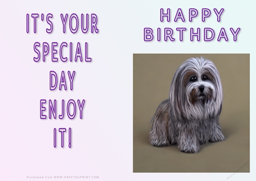 NCJP - Fantasy Lhasa Apso