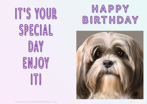 NCJP - Fantasy Lhasa Apso