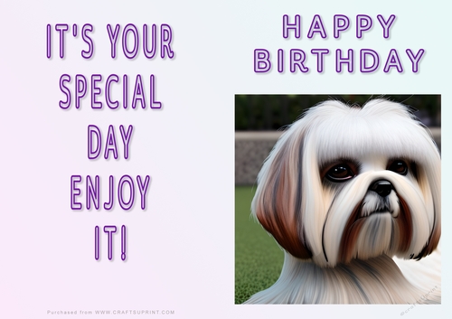 NCJP - Fantasy Lhasa Apso