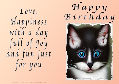 NCJP - Birthday Fantasy Kitten