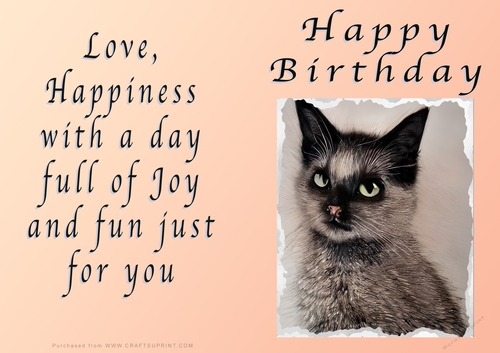 NCJP - Birthday Fantasy Kitten