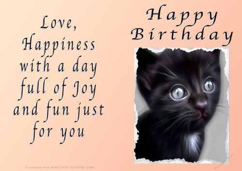 NCJP - Birthday Fantasy Kitten