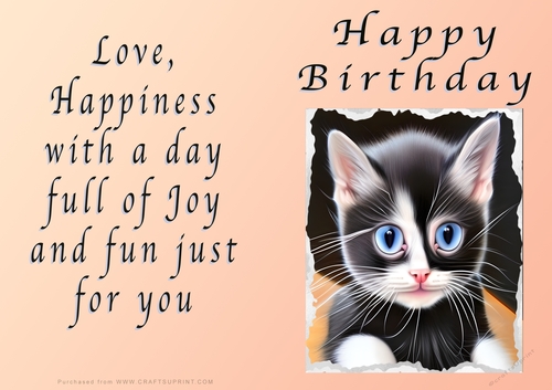 NCJP - Birthday Fantasy Kitten