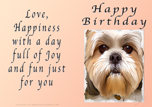 NCJP - Birthday Fantasy Lhasa Apso puppy