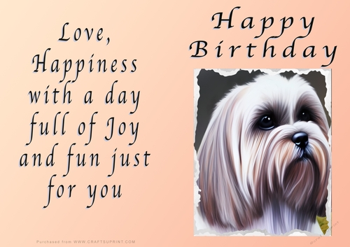NCJP - Birthday Fantasy Lhasa Apso puppy