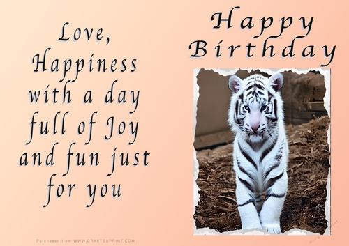 NCJP - Birthday Fantasy White Tiger