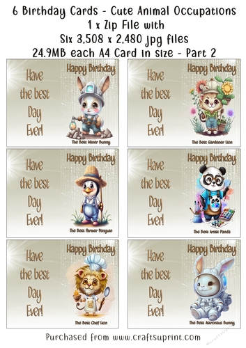NCJP Set of 6 Birthday Cards - Animal Occupations - Pack 2