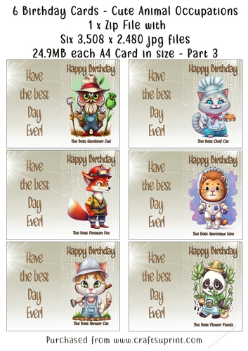 NCJP Set of 6 Birthday Cards - Animal Occupations - Pack 4