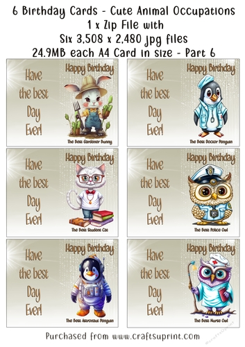NCJP Set of 6 Birthday Cards - Animal Occupations - Pack 6