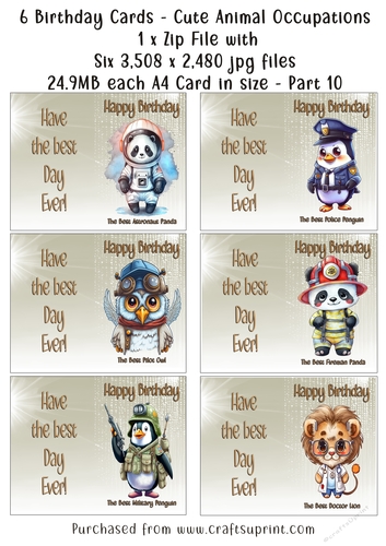 NCJP Set of 6 Birthday Cards - Animal Occupations - Pack 10