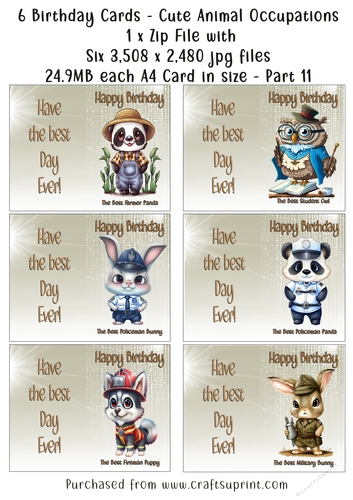 NCJP Set of 6 Birthday Cards - Animal Occupations - Pack 11