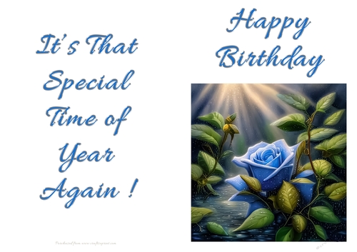 NCJP - Birthday Fantasy