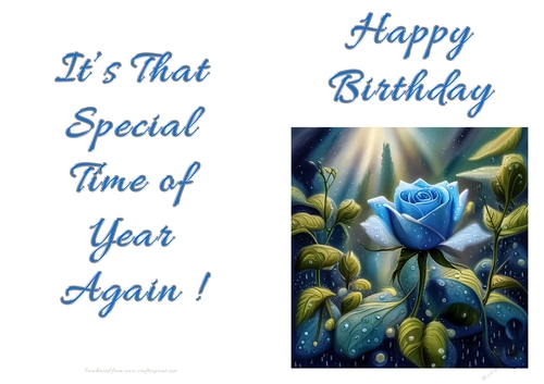 NCJP - Birthday Fantasy