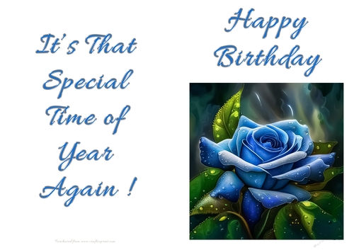 NCJP - Birthday Fantasy