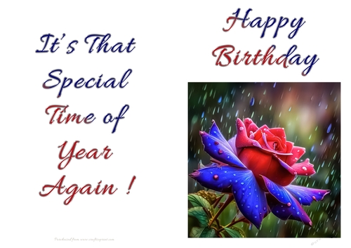 NCJP - Birthday Fantasy