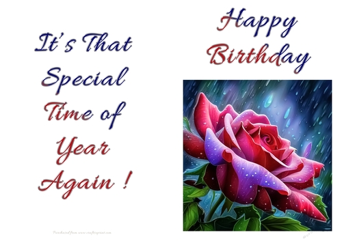 NCJP - Birthday Fantasy