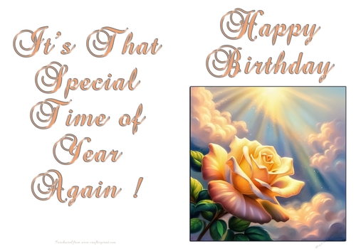 NCJP - Birthday Fantasy