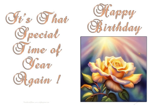NCJP - Birthday Fantasy