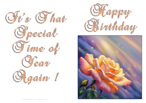 NCJP - Birthday Fantasy