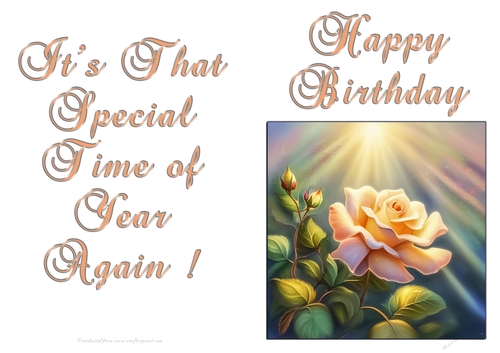 NCJP - Birthday Fantasy