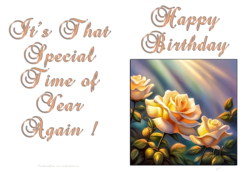 NCJP - Birthday Fantasy