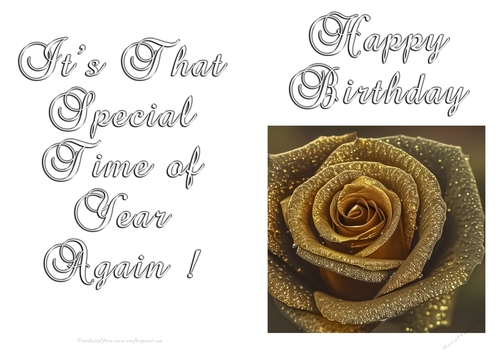 NCJP - Birthday Fantasy
