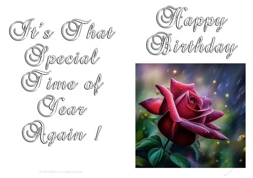 NCJP - Birthday Fantasy