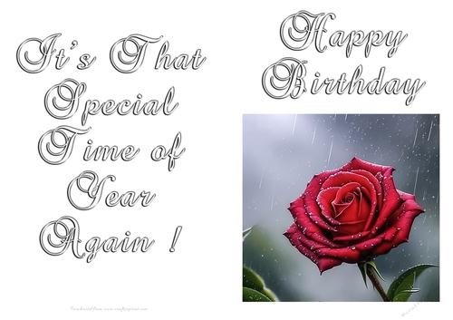 NCJP - Birthday Fantasy