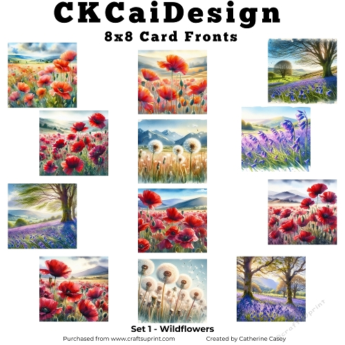 12 Watercolour 8x8 Wildflower in the Meadow Card Fronts