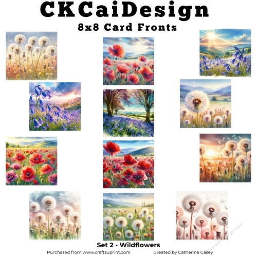 12 Watercolour 8x8 Wildflower in the Meadow Card Fronts Set2