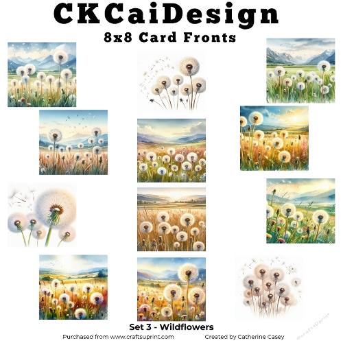 12 Watercolour 8x8 Wildflower in the Meadow Card Fronts Set3