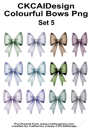 Beautiful Bows 12 colourful bows on Pngs Set 5