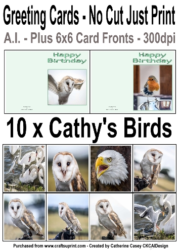 10 No Cut Just Print Birthday Cards with Photos of Birds taken by Me