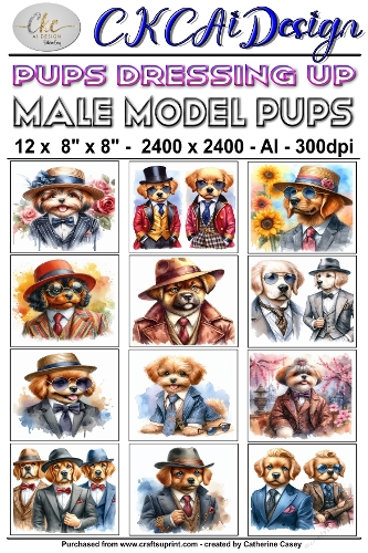 12 - 8×8 Card Fronts Puppies playing Dressup - Male Model Pups