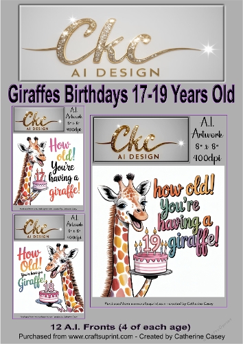Birthday Toppers 12 - 8x8 - How Old! Youre Having a Giraffe - Age Card - 17 -19