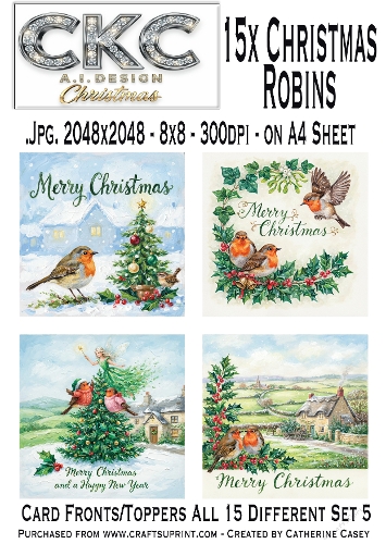 15 AI Christmas Robins – Festive Winter Card Collection - Set 5