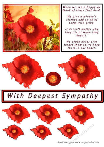 Poppy Thoughts