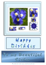 Blue iris
