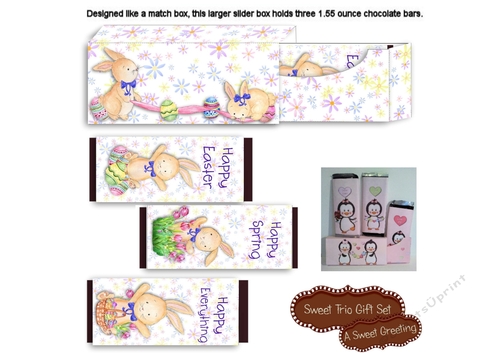 Spring Trio 1.55 ounce Chocolate Bar Trio Gift Box