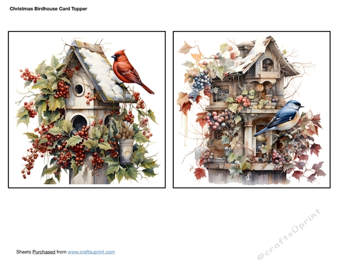 Christmas Birdhouse Card Toppers